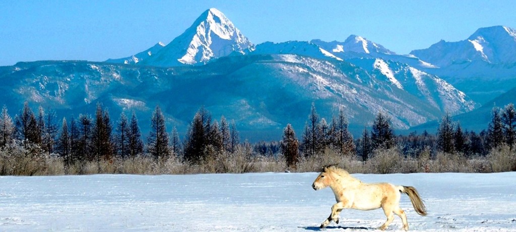 mongolian nature winter